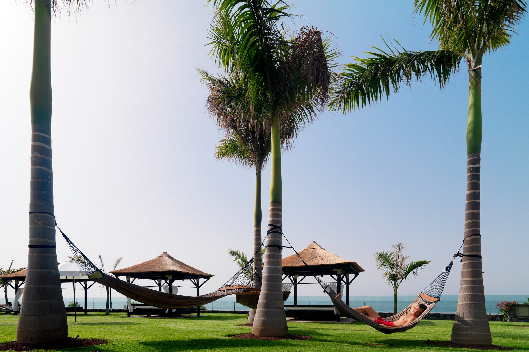a hammocks on a lawn with palm trees and a couple of people