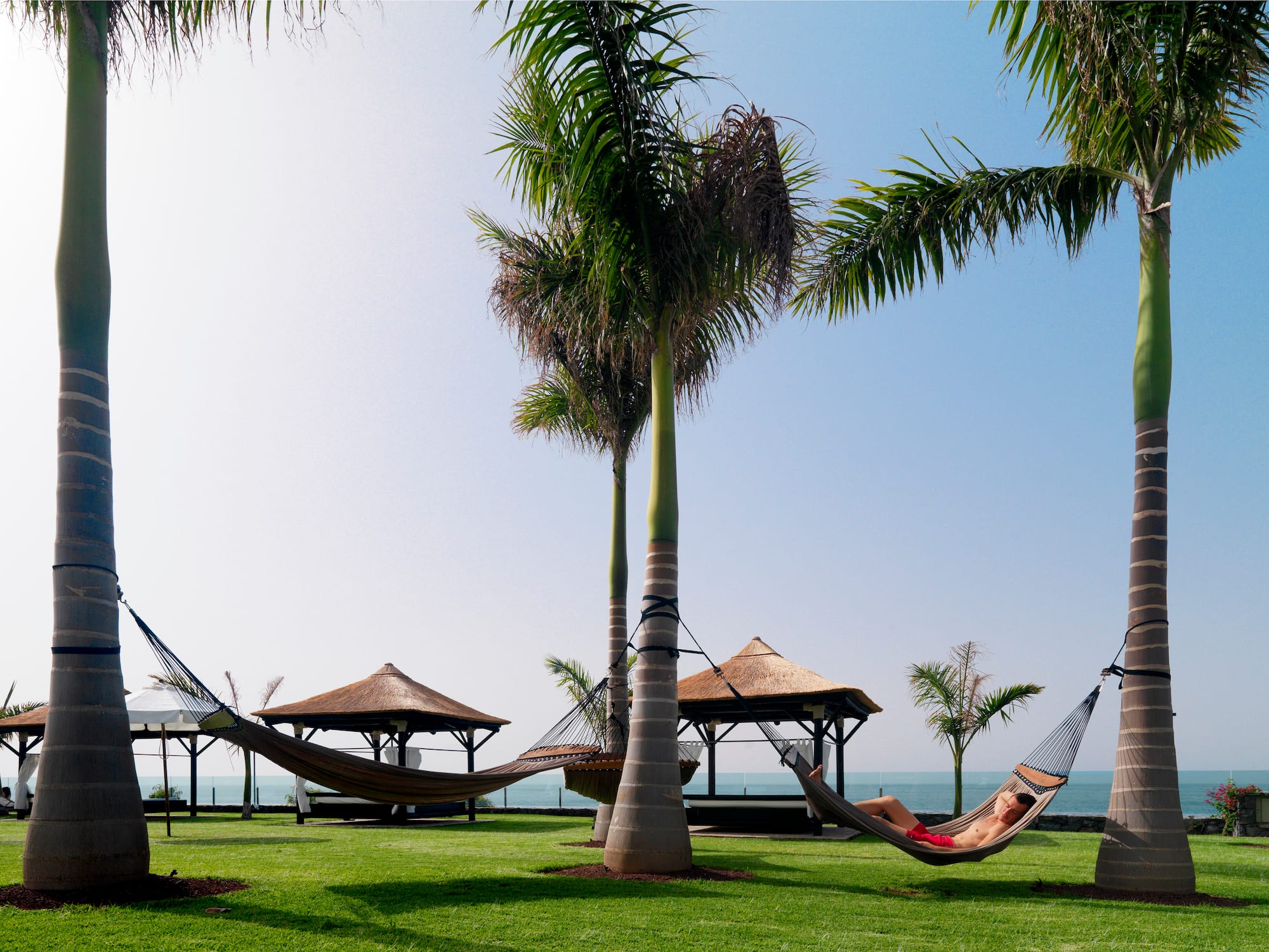 a hammocks on a lawn with palm trees and a couple of people