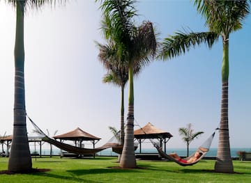 a hammocks on a lawn with palm trees and a couple of people