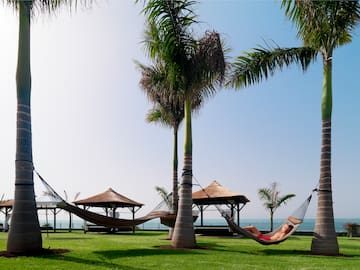 a hammocks on a lawn with palm trees and a couple of people