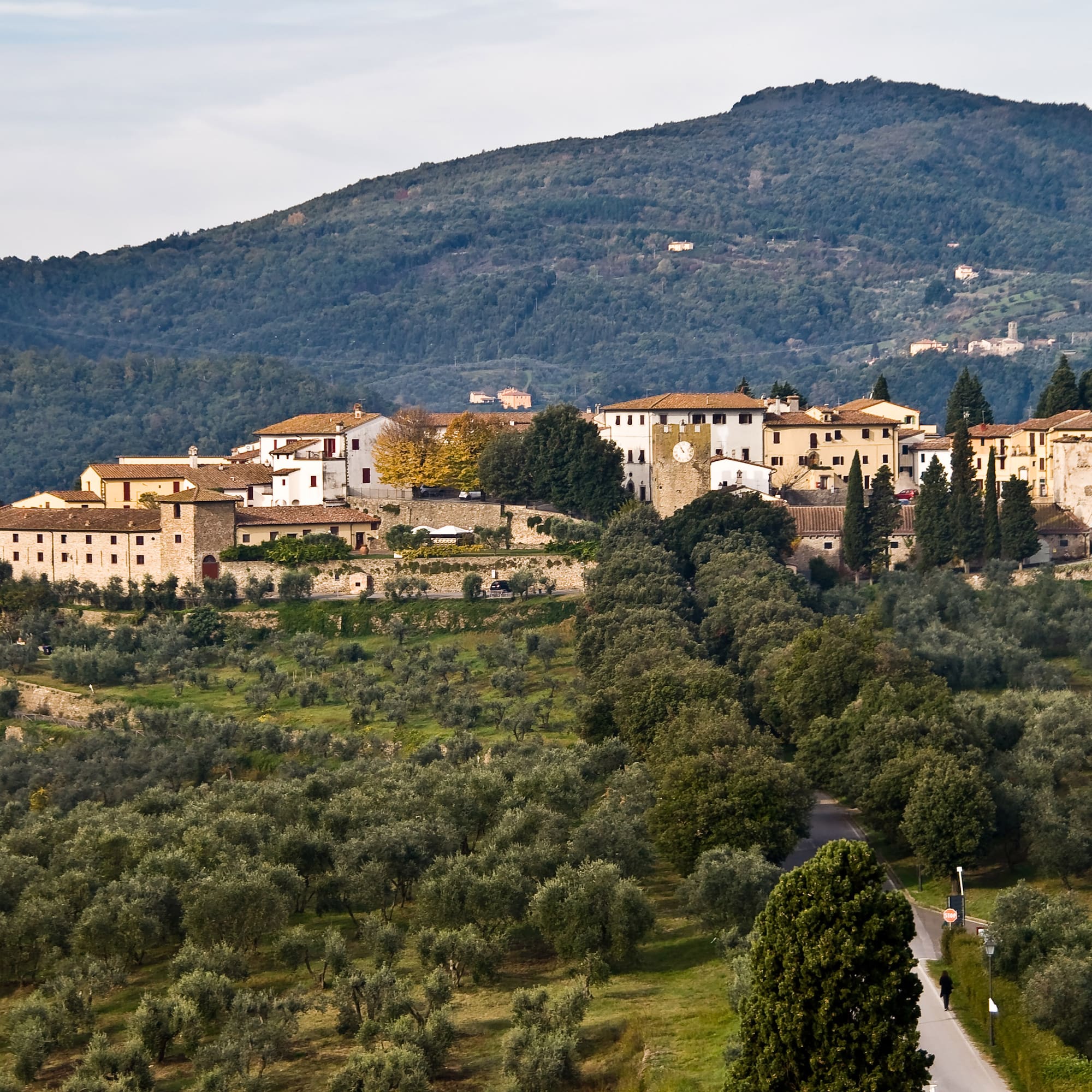 a large building in a valley