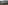 Tuscan hilltop village, olive groves, and rolling green hills.