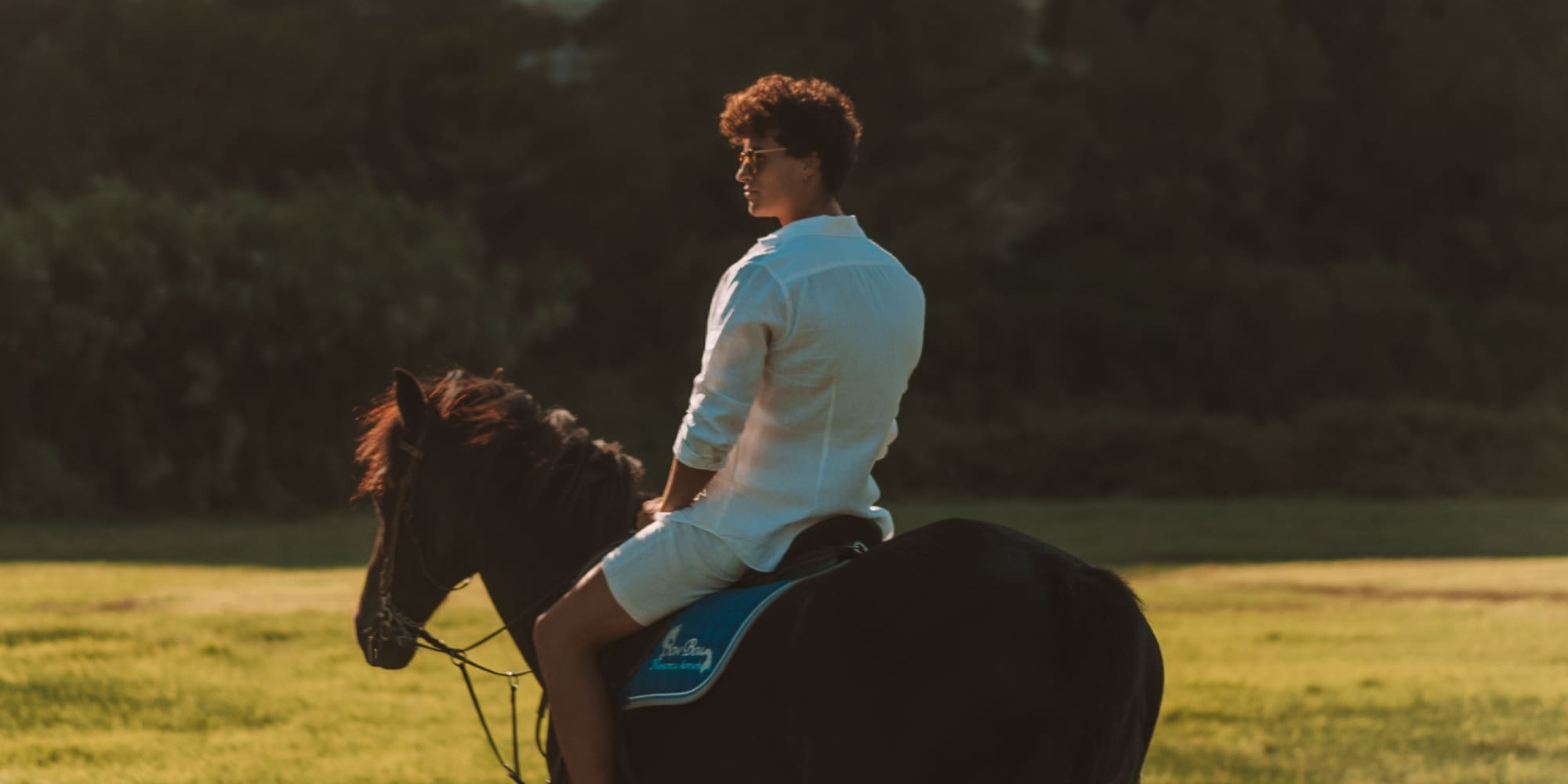a person riding a horse in a field