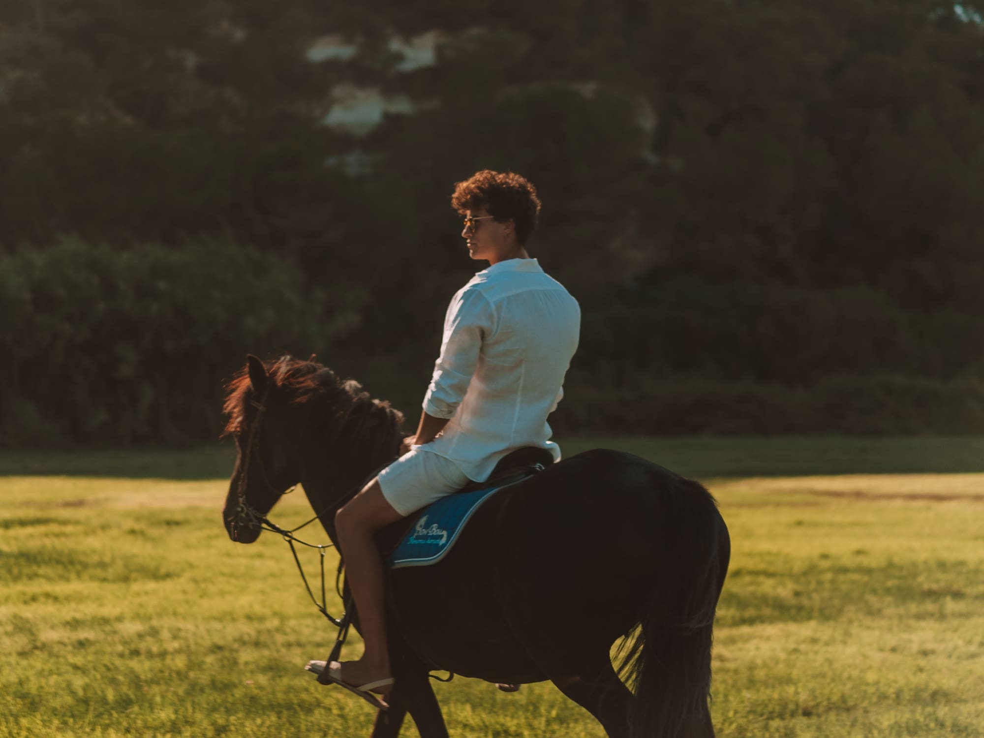 a person riding a horse in a field
