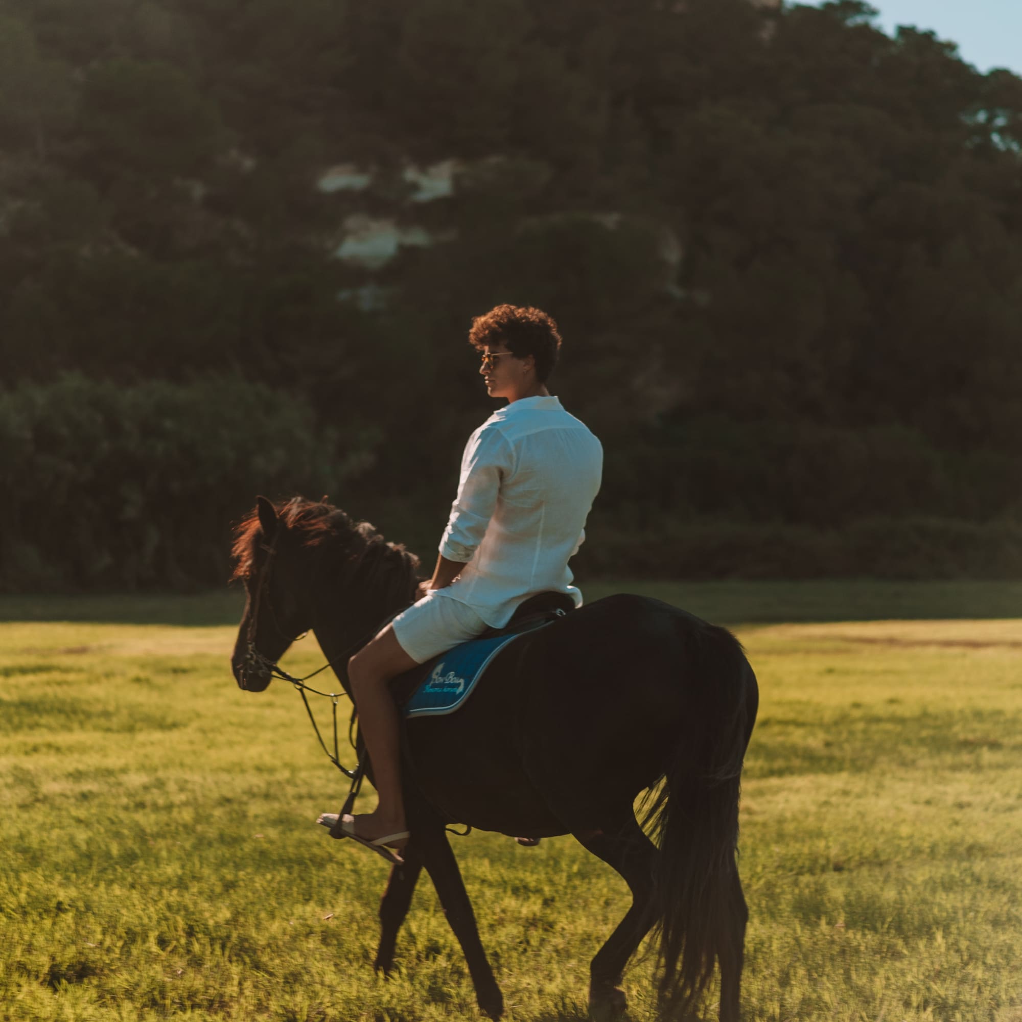 a person riding a horse in a field