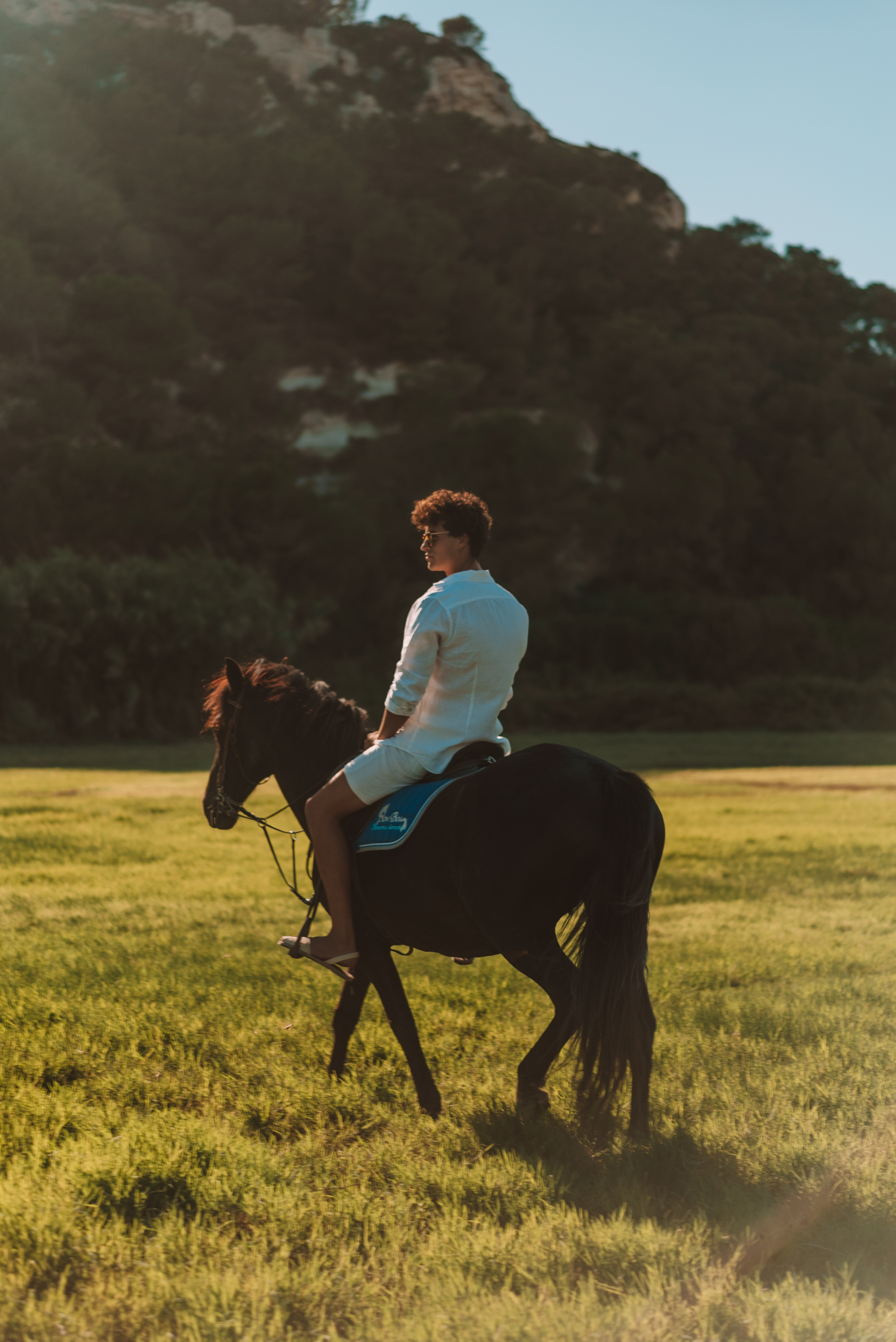 a person riding a horse in a field