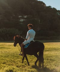 a person riding a horse in a field