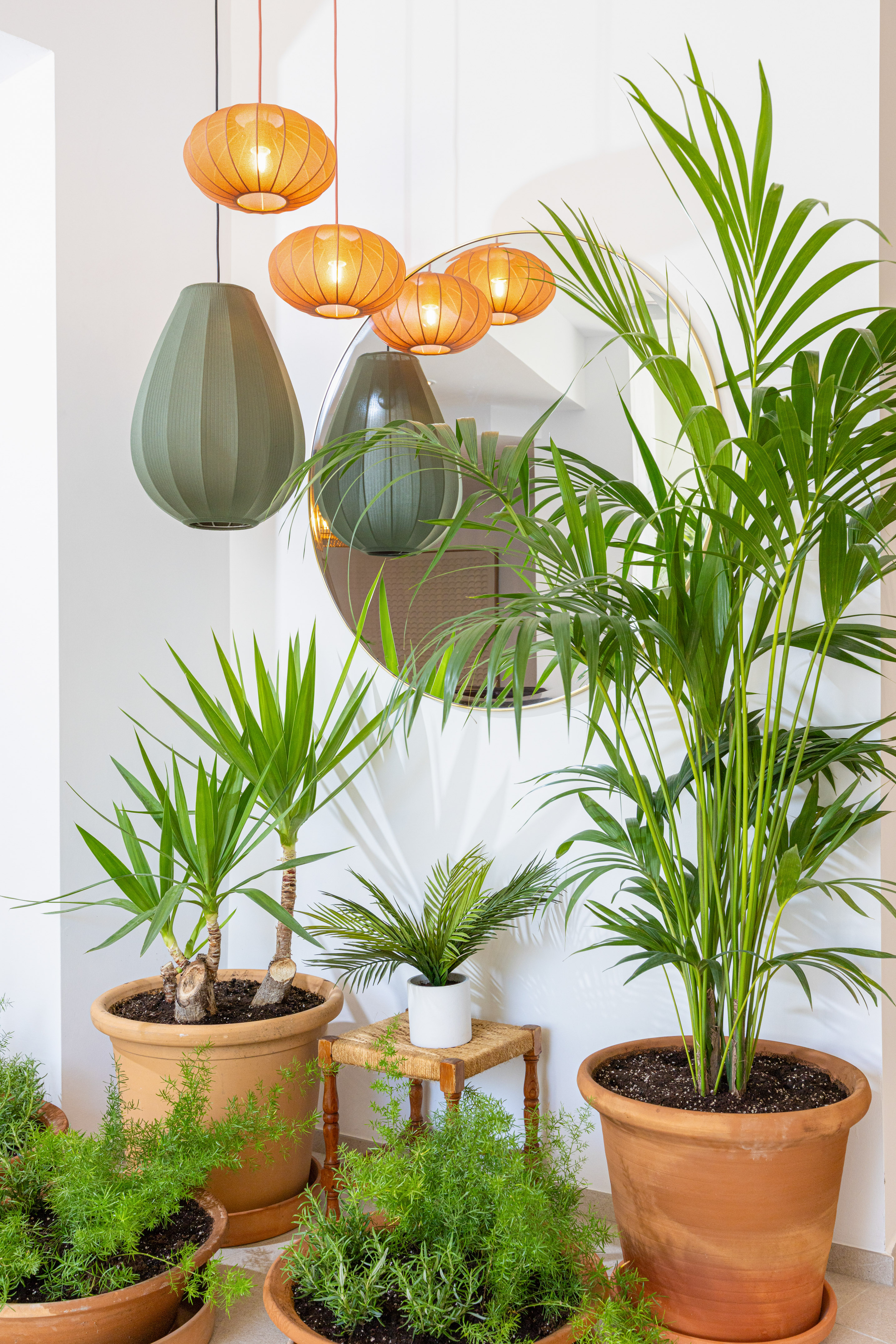 Potted palms, yucca, modern pendant lights, and a decorative mirror in a bright interior.
