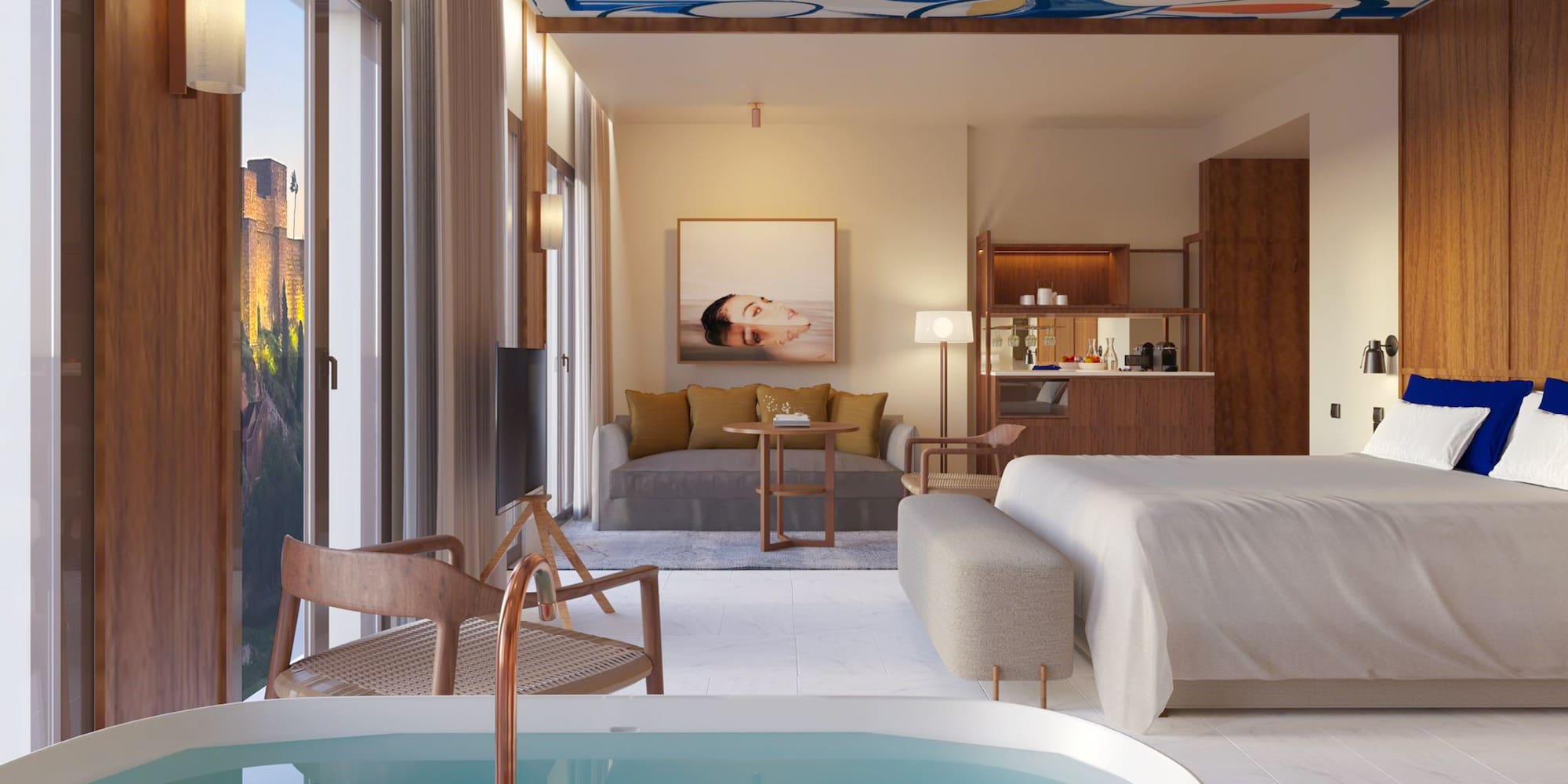 a room with a bed and a sofa and a bed with a bathtub