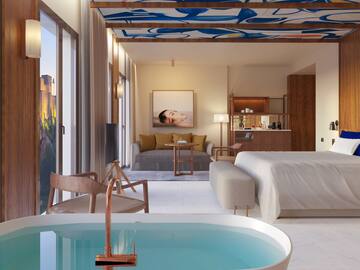 a room with a bed and a sofa and a bed with a bathtub