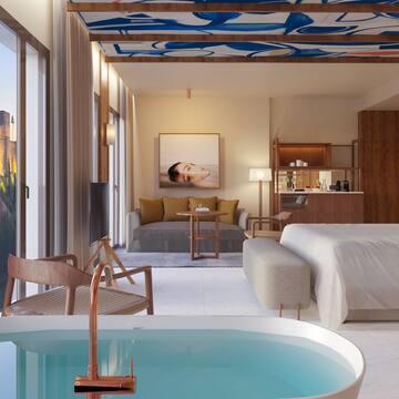 a room with a bed and a sofa and a bed with a bathtub