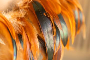 a close up of feathers