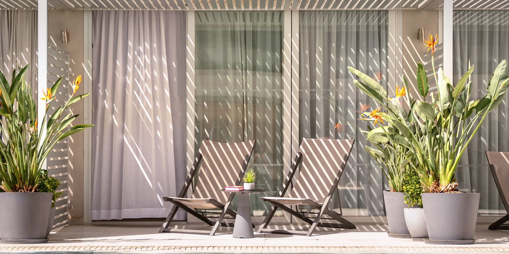 Sunny poolside patio with two lounge chairs, Bird of Paradise, and modern pergola.