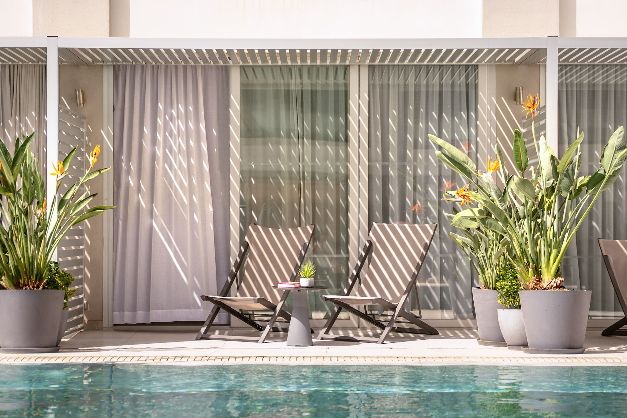 Sunny poolside patio with two lounge chairs, Bird of Paradise, and modern pergola.