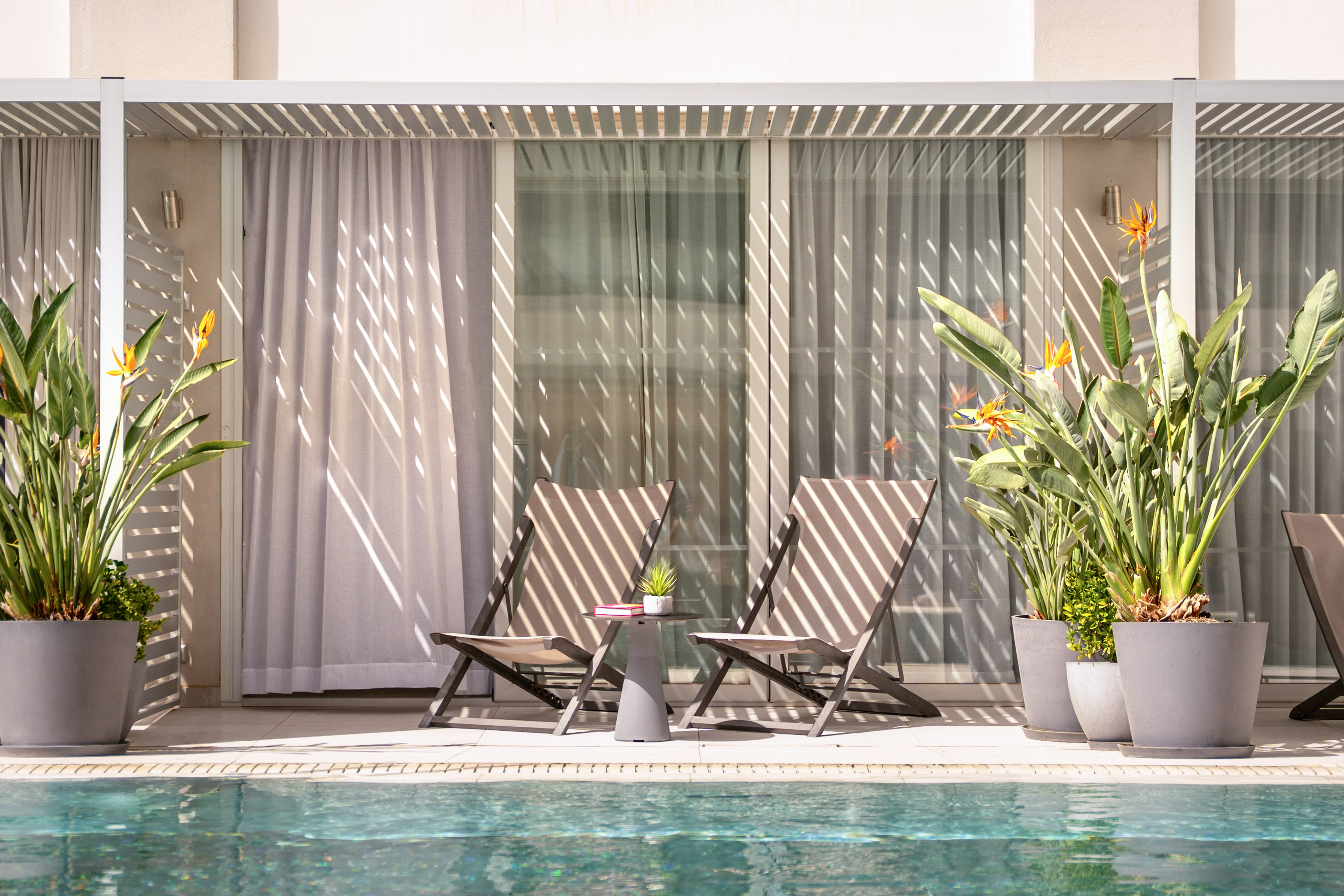 Sunny poolside patio with two lounge chairs, Bird of Paradise, and modern pergola.