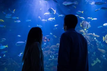 a man and woman looking at fish in a tank