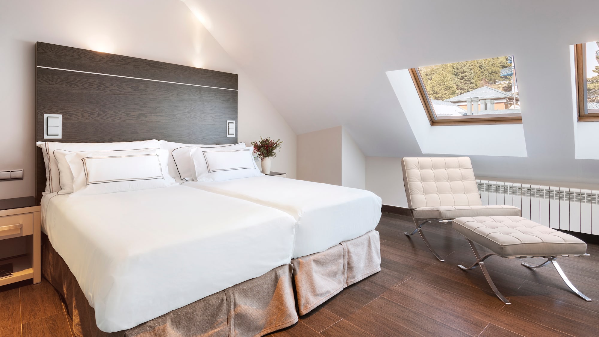 a bedroom with a skylight and two beds