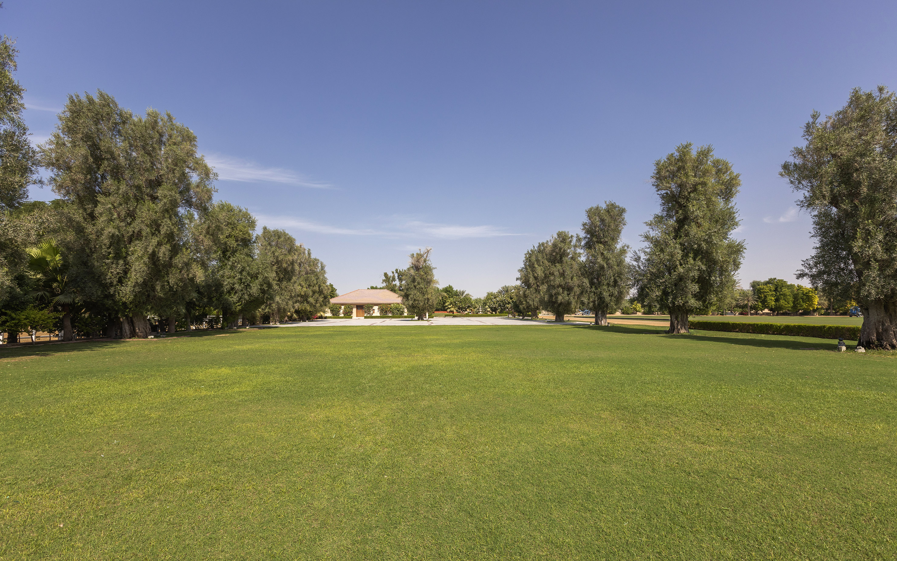 a large grassy field with trees in the background