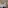 Modern hotel bedroom with king bed, yellow wall, and garden patio view.