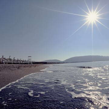 a beach with a body of water and a beach umbrellas