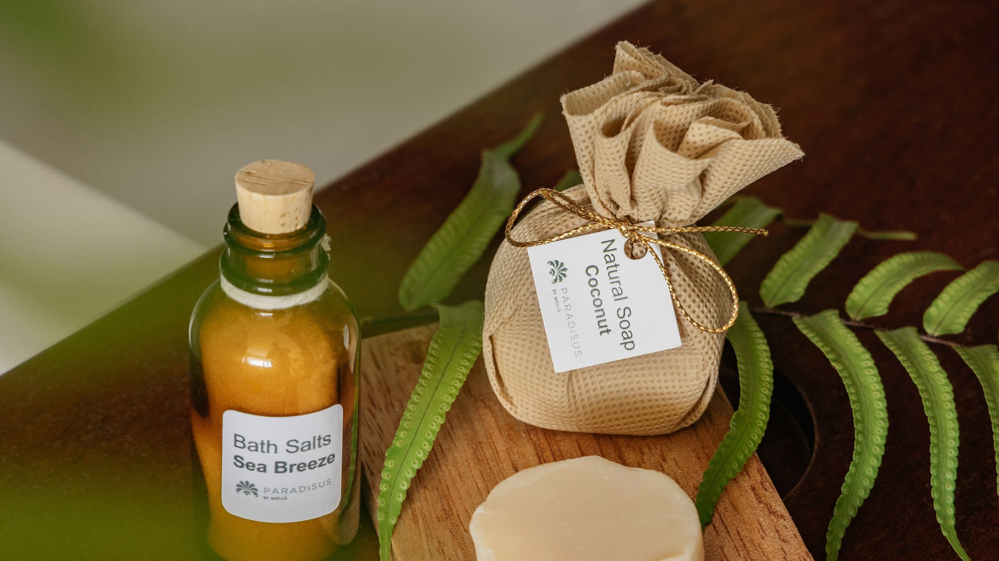 Sea Breeze bath salts, natural coconut soap, and soap bar on wood with ferns.