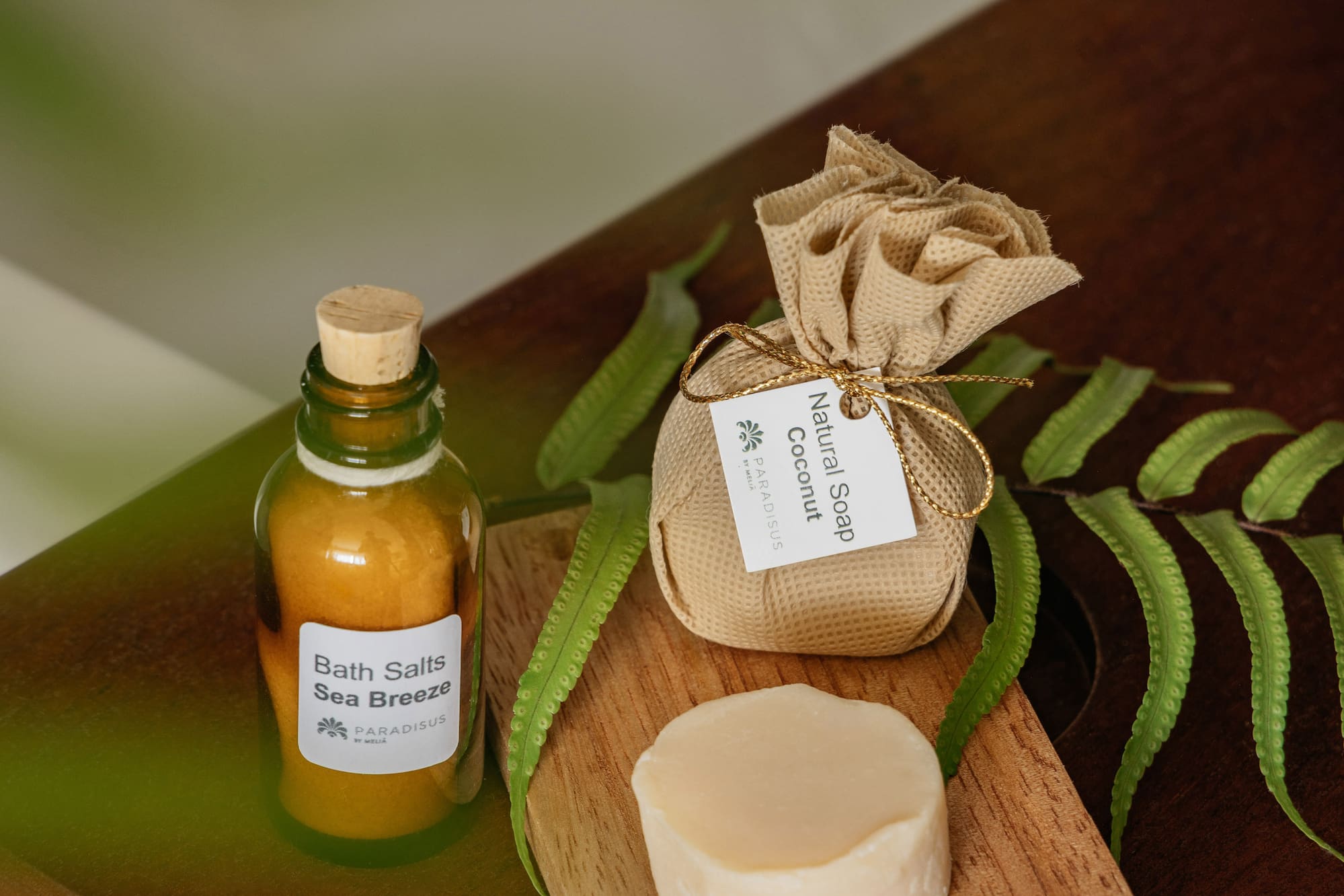 Sea Breeze bath salts, natural coconut soap, and soap bar on wood with ferns.