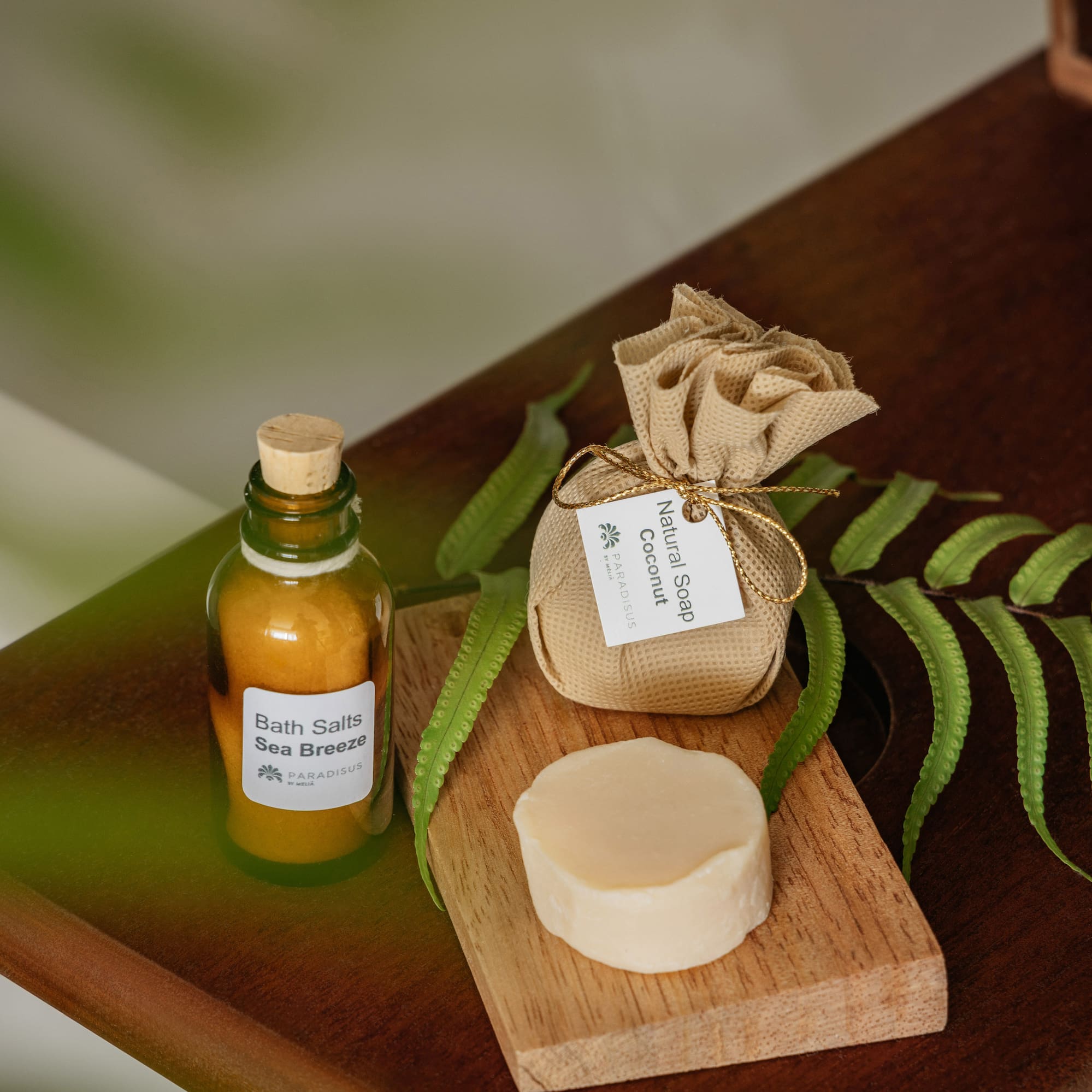 Sea Breeze bath salts, natural coconut soap, and soap bar on wood with ferns.
