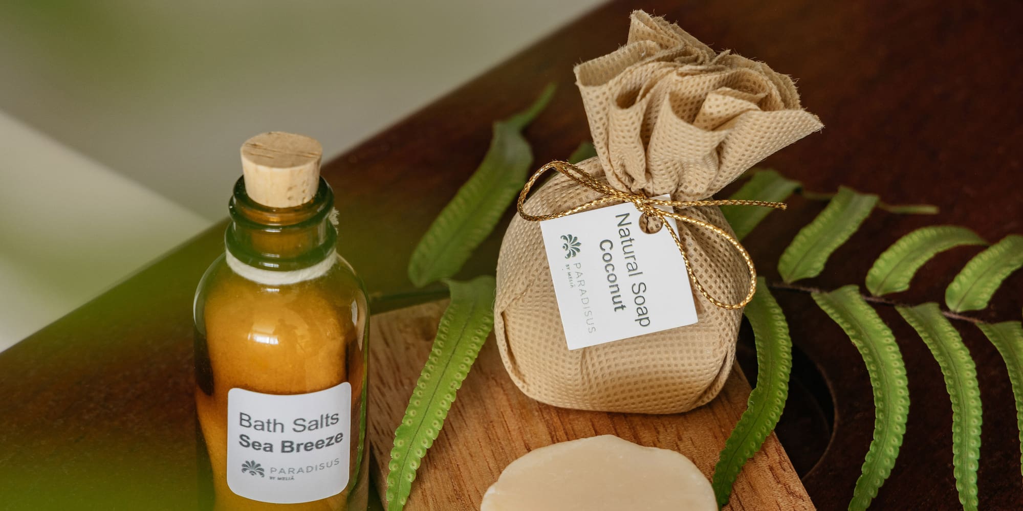 Paradisus Sea Breeze bath salts, coconut soap, bar on wood with fern.
