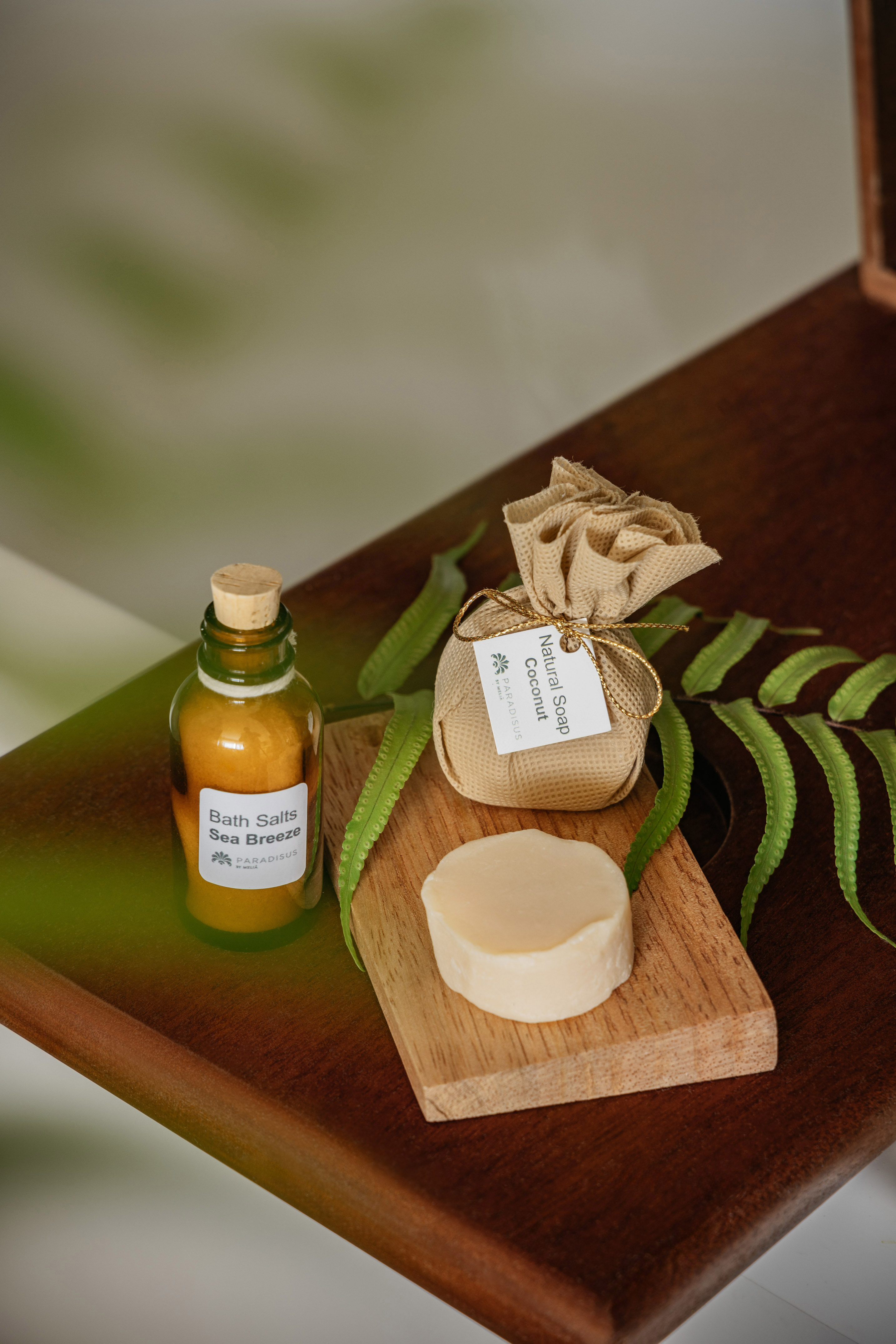 Sea Breeze bath salts, natural coconut soap, and soap bar on wood with ferns.