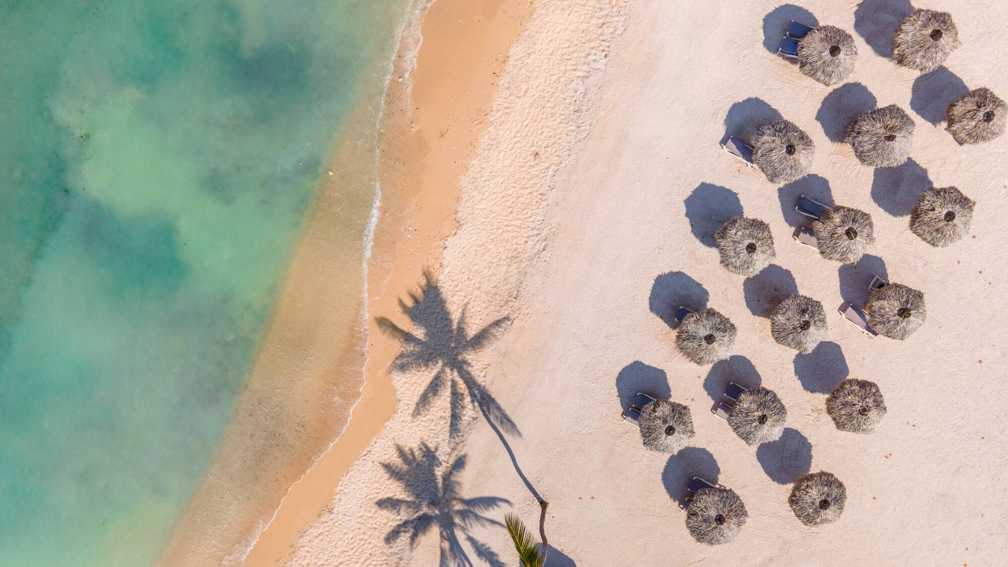 a beach with umbrellas and palm trees