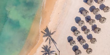 a beach with umbrellas and palm trees