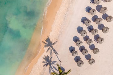 a beach with umbrellas and palm trees