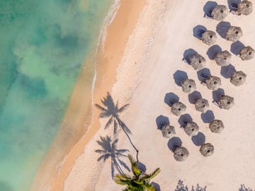 a beach with umbrellas and palm trees