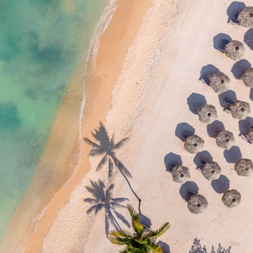 a beach with umbrellas and palm trees