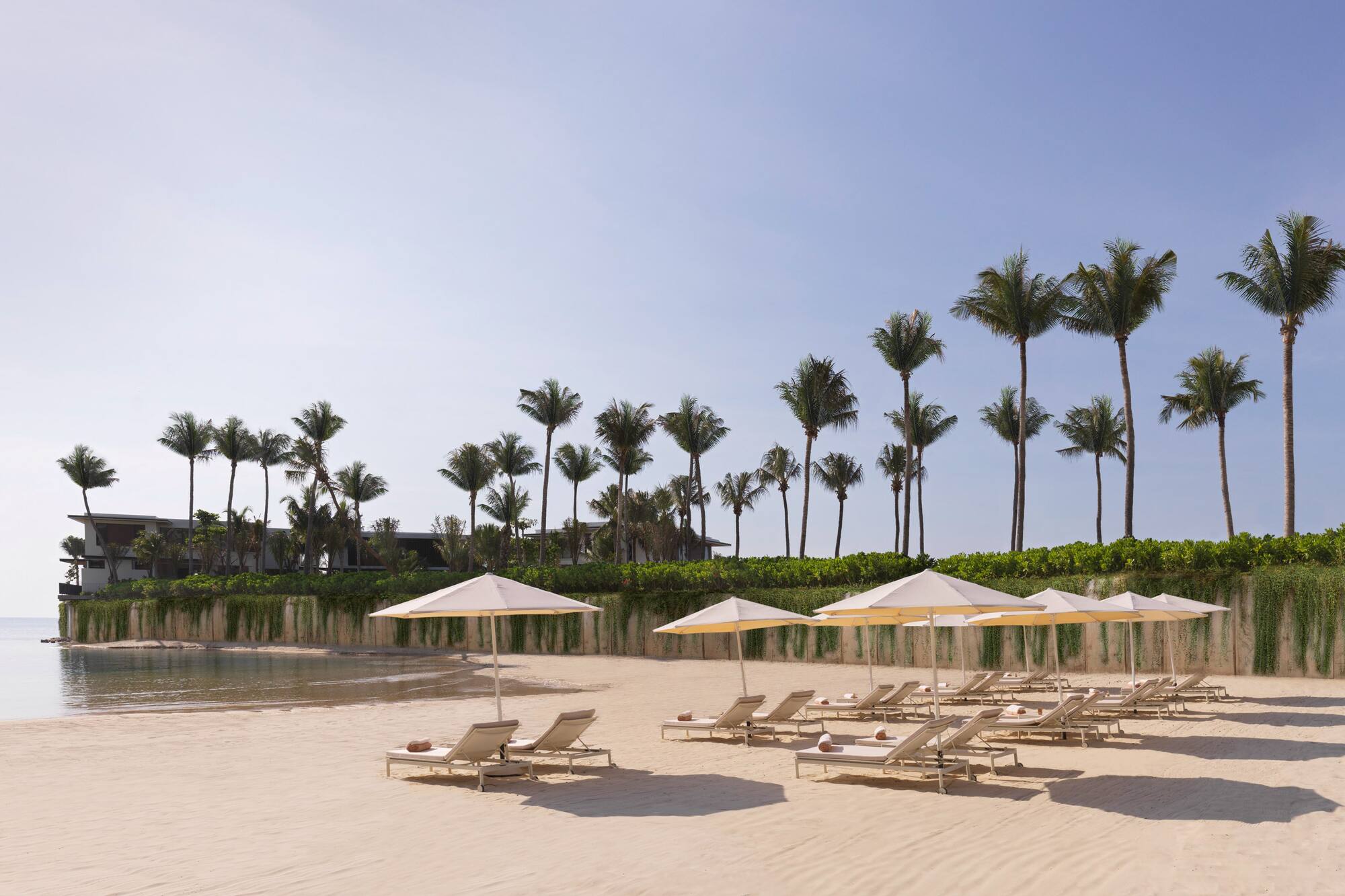 Tropical resort beach with palm trees, lounge chairs, and umbrellas by the ocean.