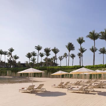 a beach with chairs and umbrellas