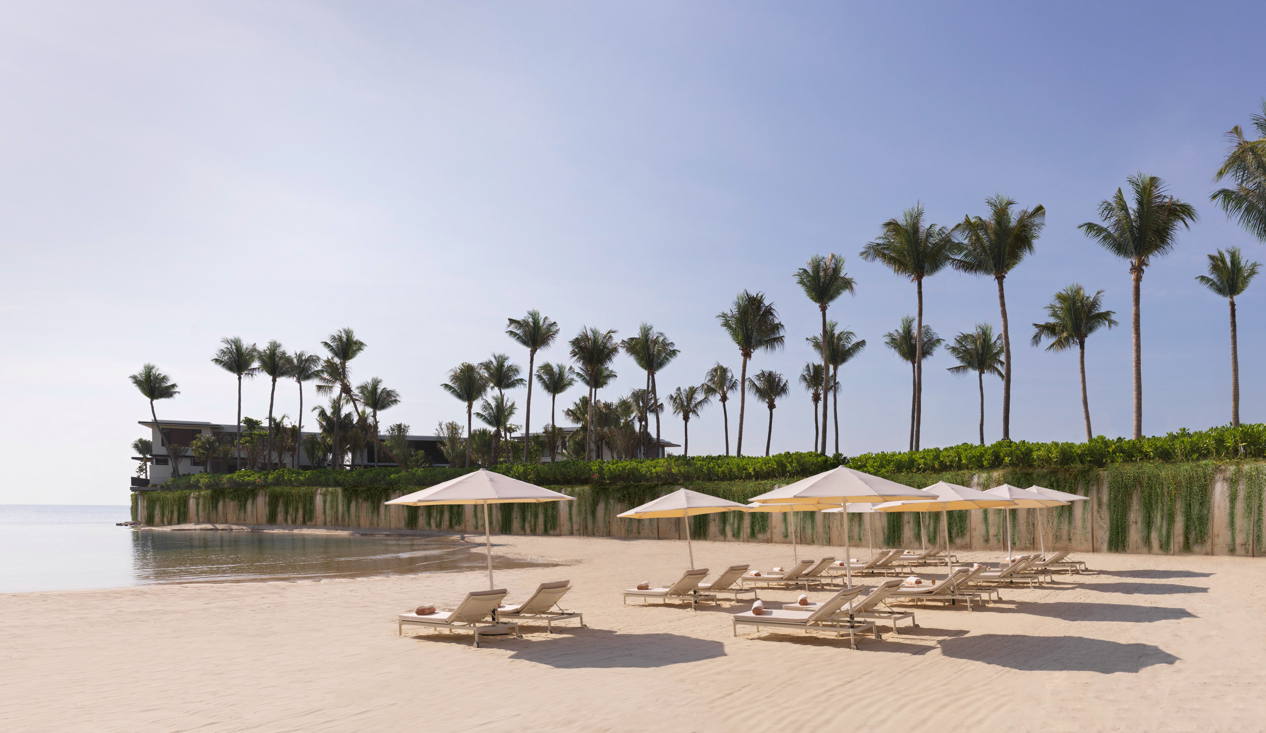 Tropical resort beach with palm trees, lounge chairs, and umbrellas by the ocean.