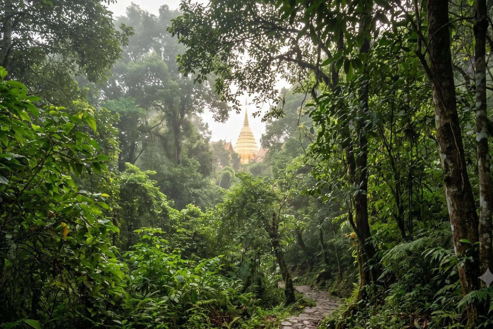 Lush jungle path leading to a gleaming golden Buddhist temple.
