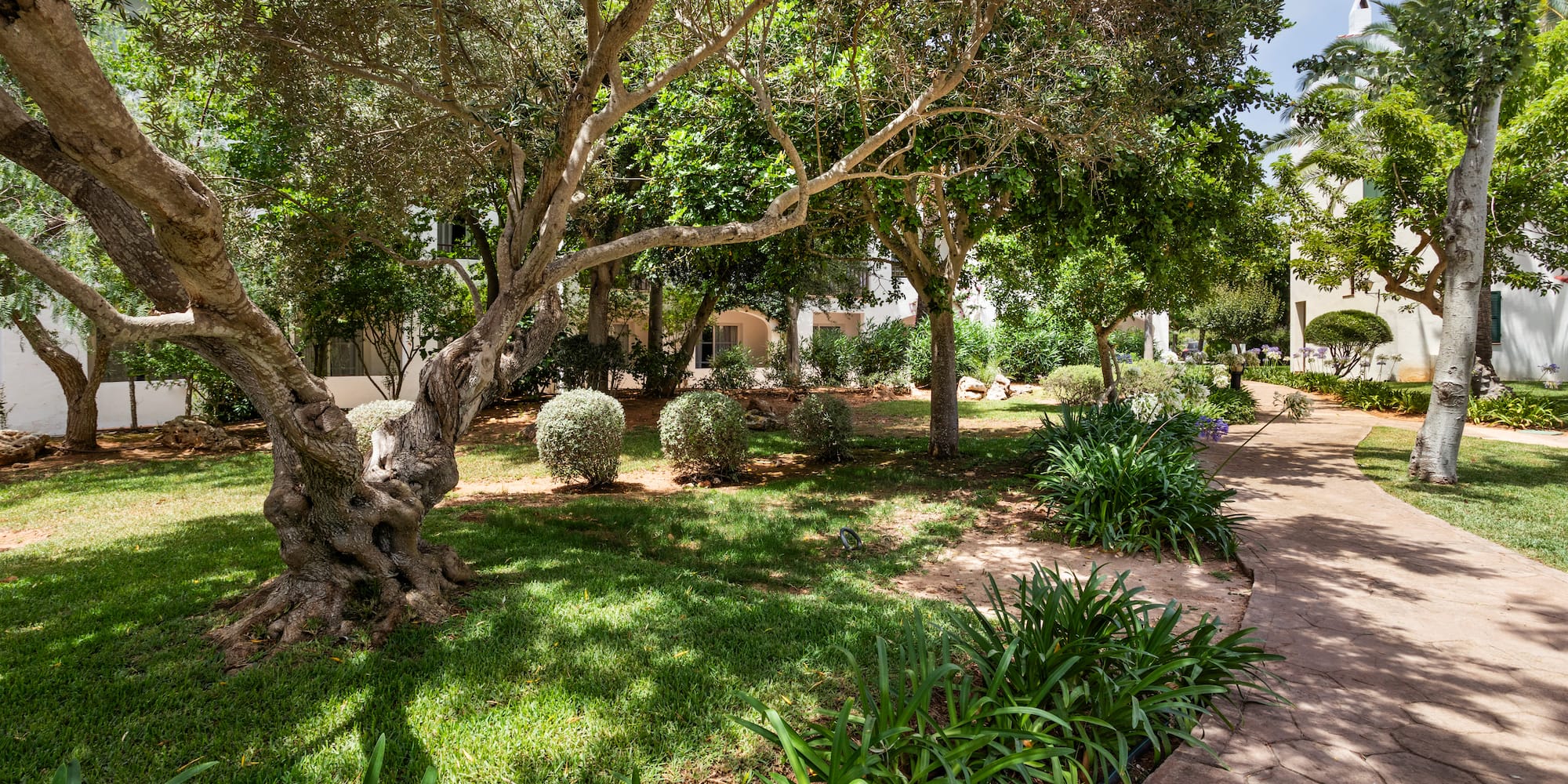 a brick walkway with trees and bushes