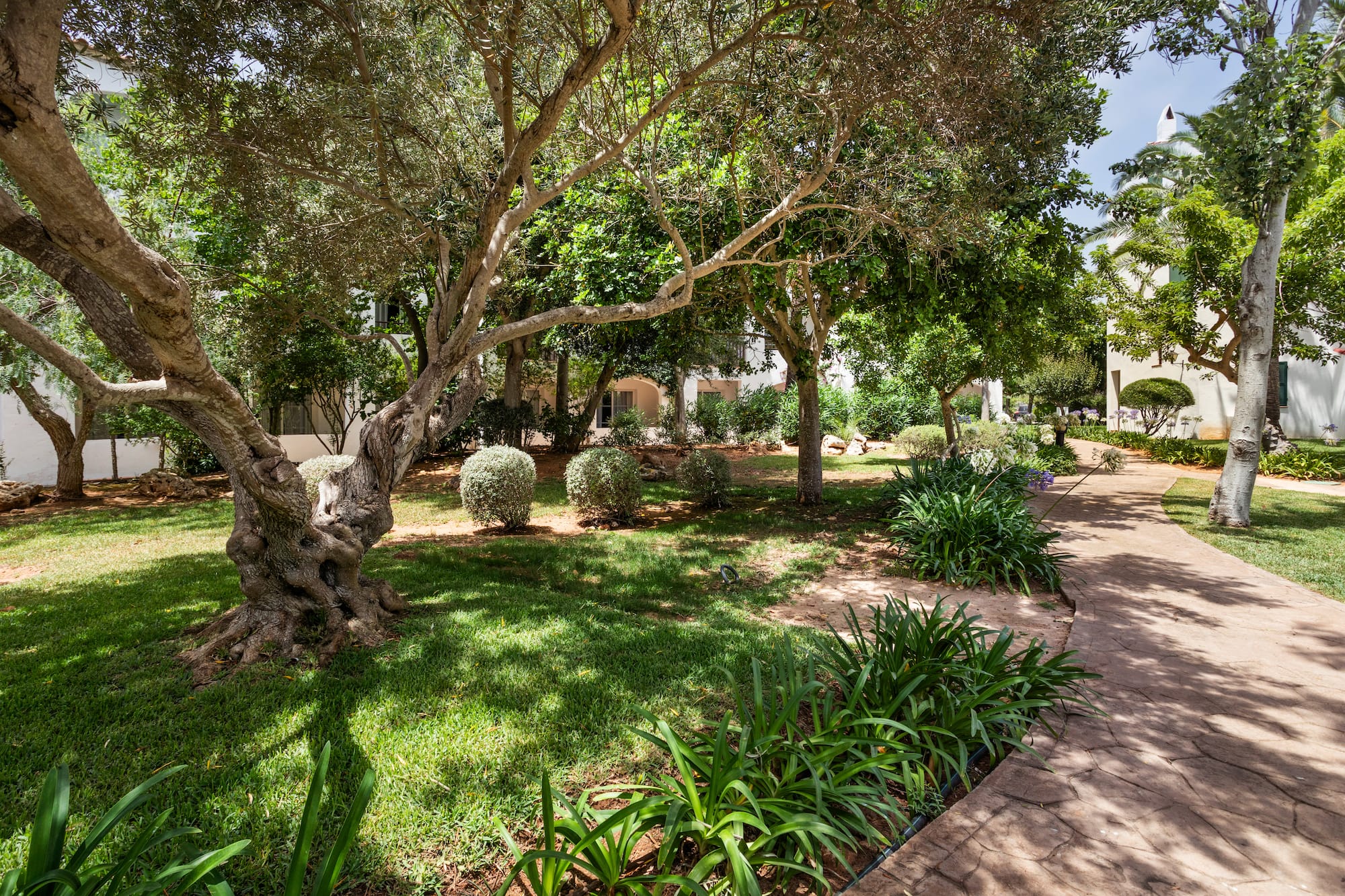 Lush resort garden with mature trees, green lawn, and winding paved pathway.