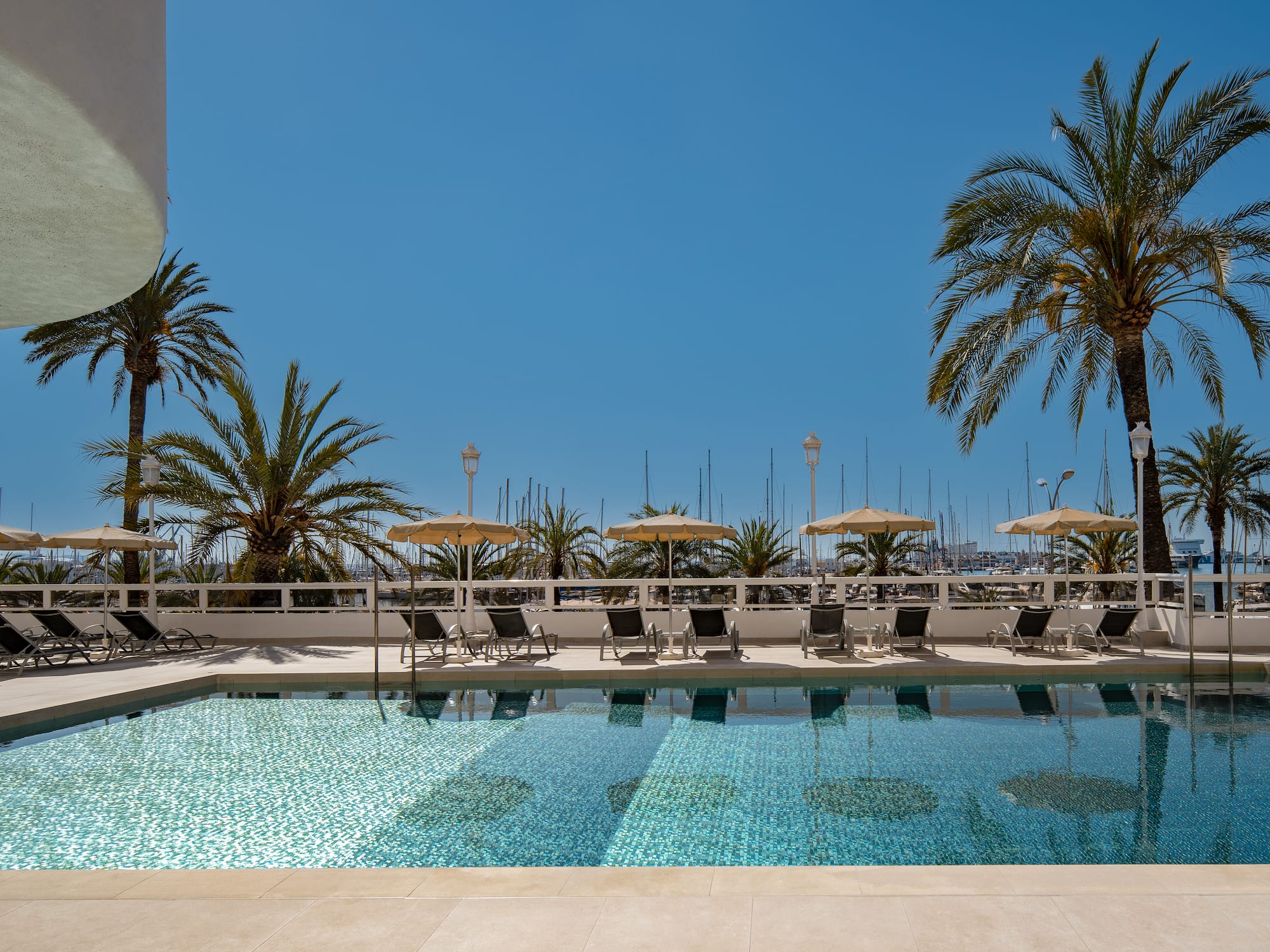 Resort swimming pool with palm trees, sun umbrellas, and yacht marina.