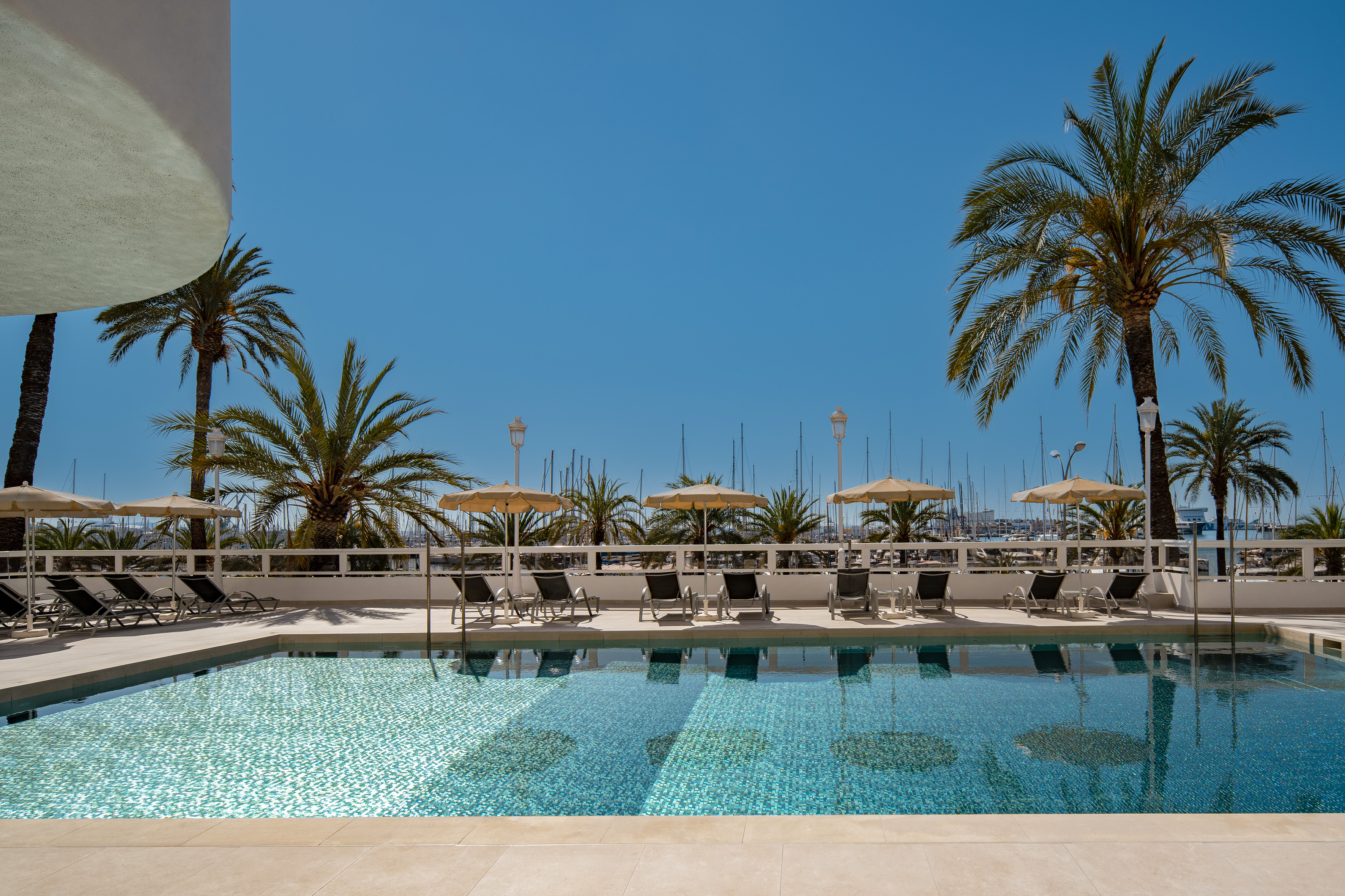 Hotel swimming pool with palm trees, sun loungers, and marina view.