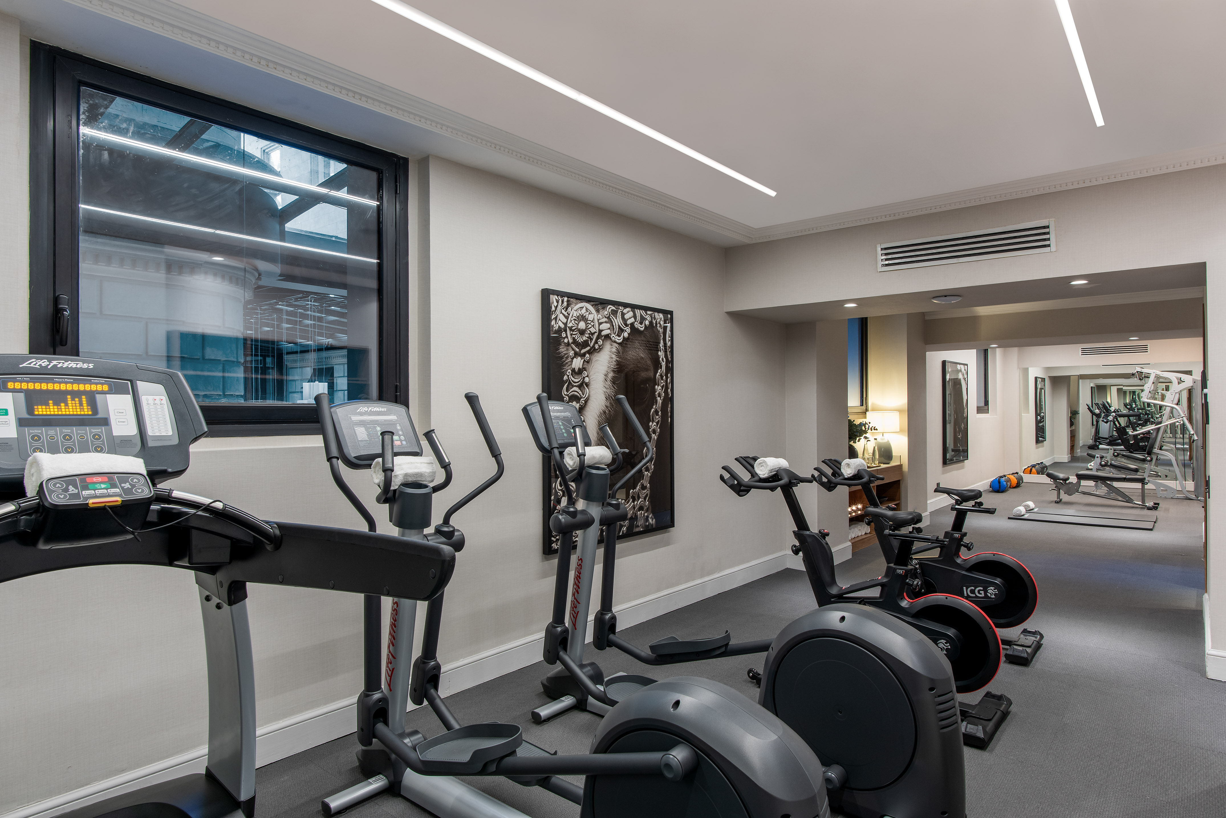 Well-lit modern gym with treadmill, ellipticals, spin bikes, and weight area.