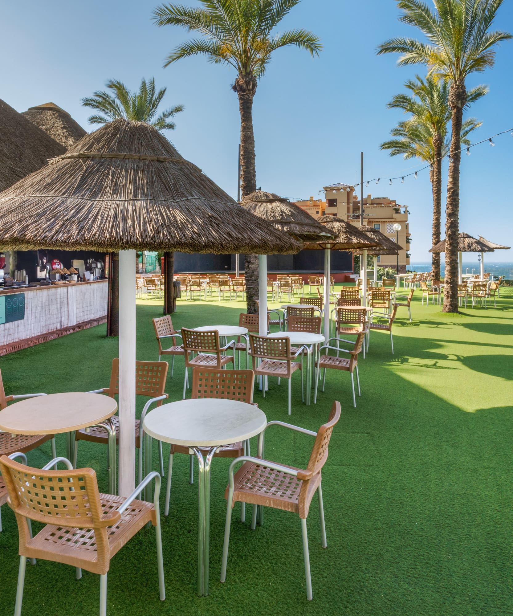 Tropical poolside bar and lounge with palm trees, pool, and sea view.