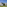 a white house with a lawn and trees