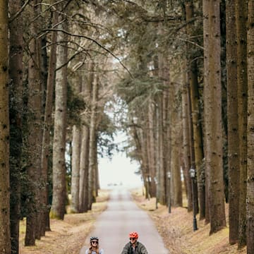 a couple of people on a road with trees