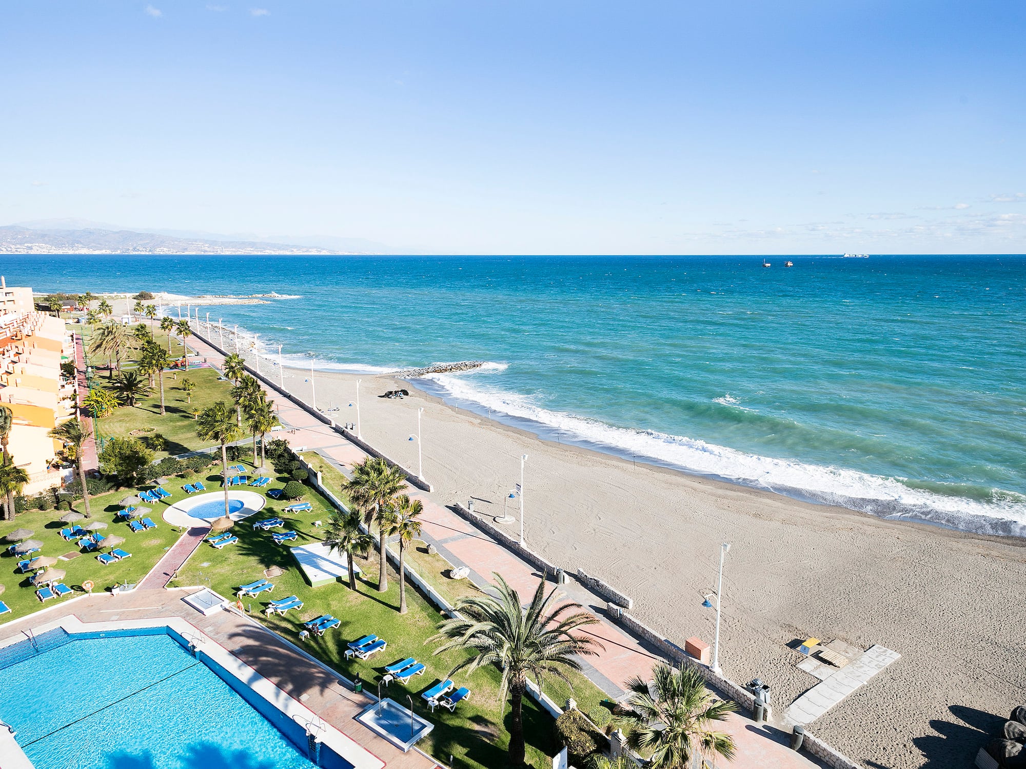 a beach with palm trees and a pool