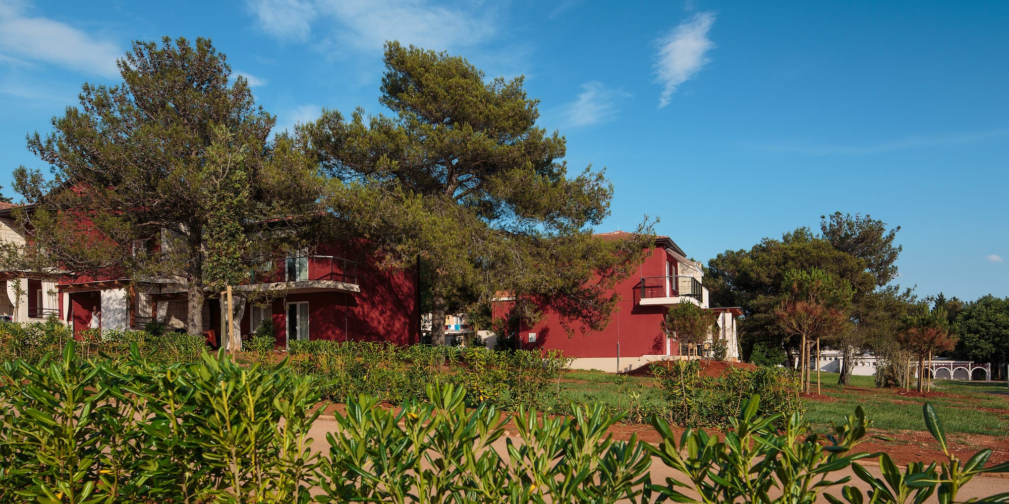 a group of houses with trees in the background