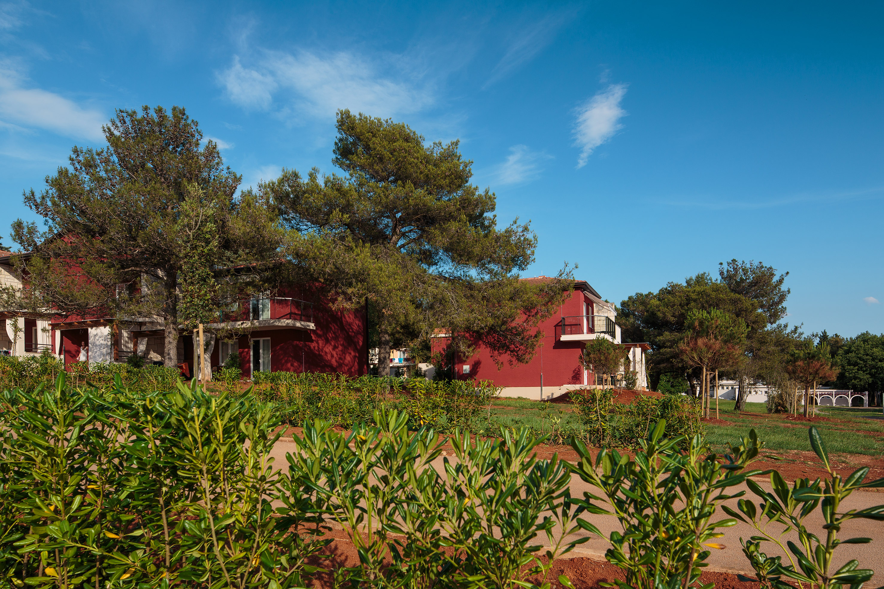 a group of houses with trees in the background