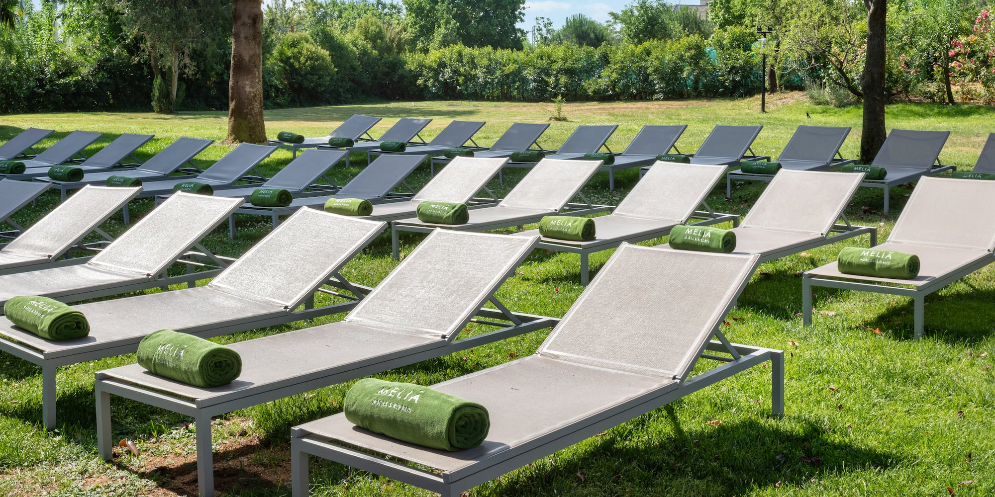 a group of lounge chairs in a grassy area